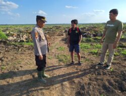 Dukung Ketahanan Pangan, Polres Labuhanbatu Cek Perkembangan Tanaman Jagung di Marbau