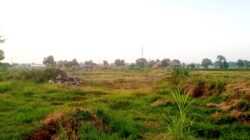 Dugaan Penelantaran Tanah Pasca Penambangan, LPLH TN Probolinggo Raya Siap Lapor ke APH